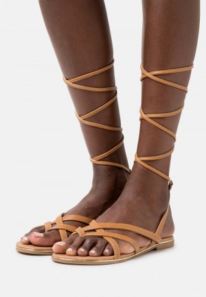 Anna Field Best Deal T-Bar Sandalen Dames Bruin | NL-8247591-NS