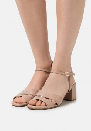 Anna Field Best Reviews Of Leather Sandalen Dames Beige | NL-0936148-JG