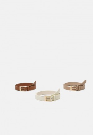 Anna Field Buy 3 Pack Riem Dames Bruin | NL-2140573-IF