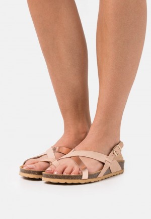 Anna Field Deals T-Bar Sandalen Dames Roze | NL-0637591-MP