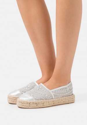 Anna Field Wholesale Espadrilles Laag Schoenen Dames Zilver | NL-3174082-MK