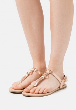 Anna Field Wholesale T-Bar Sandalen Dames Roze Goud | NL-2169843-RF