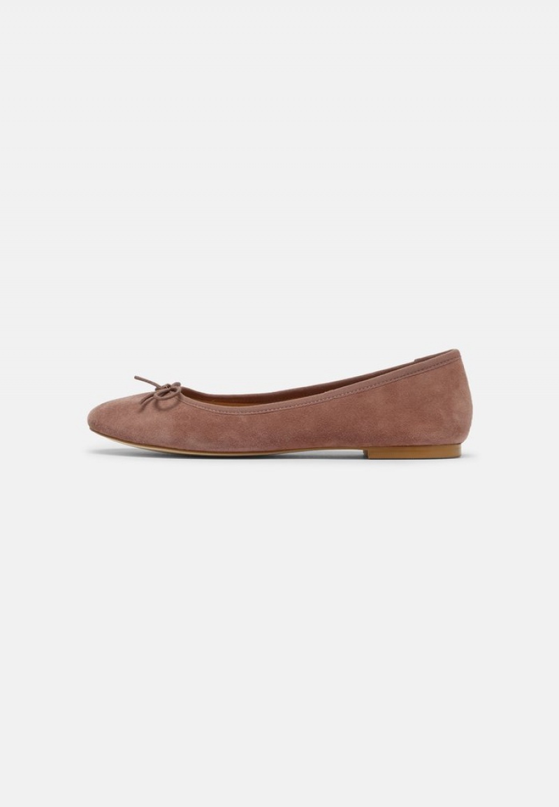 Anna Field Best Sale Leather Ballet Pumps Ballerina Schoenen Dames Grijs Bruin | NL-2145608-VH