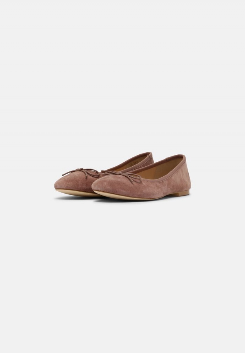 Anna Field Best Sale Leather Ballet Pumps Ballerina Schoenen Dames Grijs Bruin | NL-2145608-VH