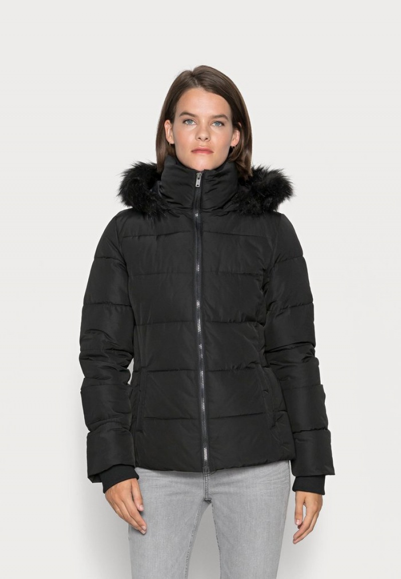 Anna Field Budget Kort Puffer With Hood Winter Jacket Mantel Dames Zwart | NL-2716098-US