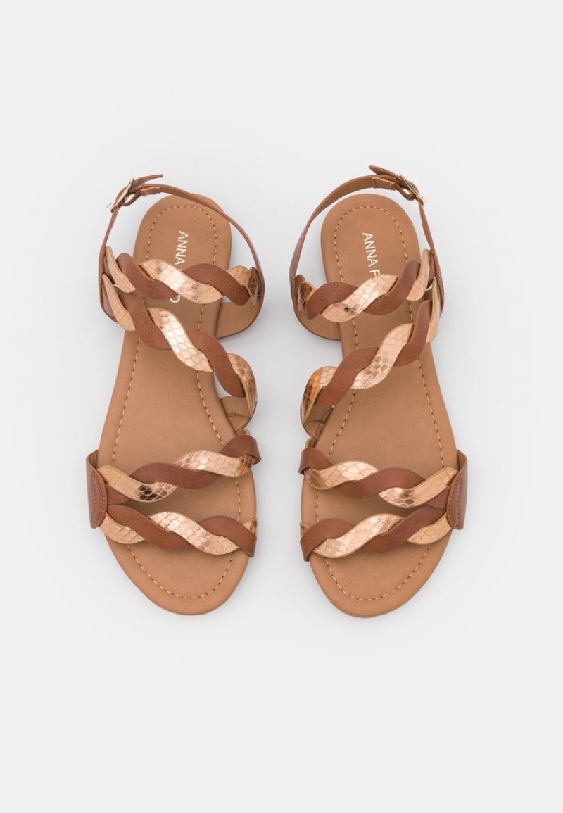 Anna Field Budget Sandalen Dames Bruin | NL-5312604-LH