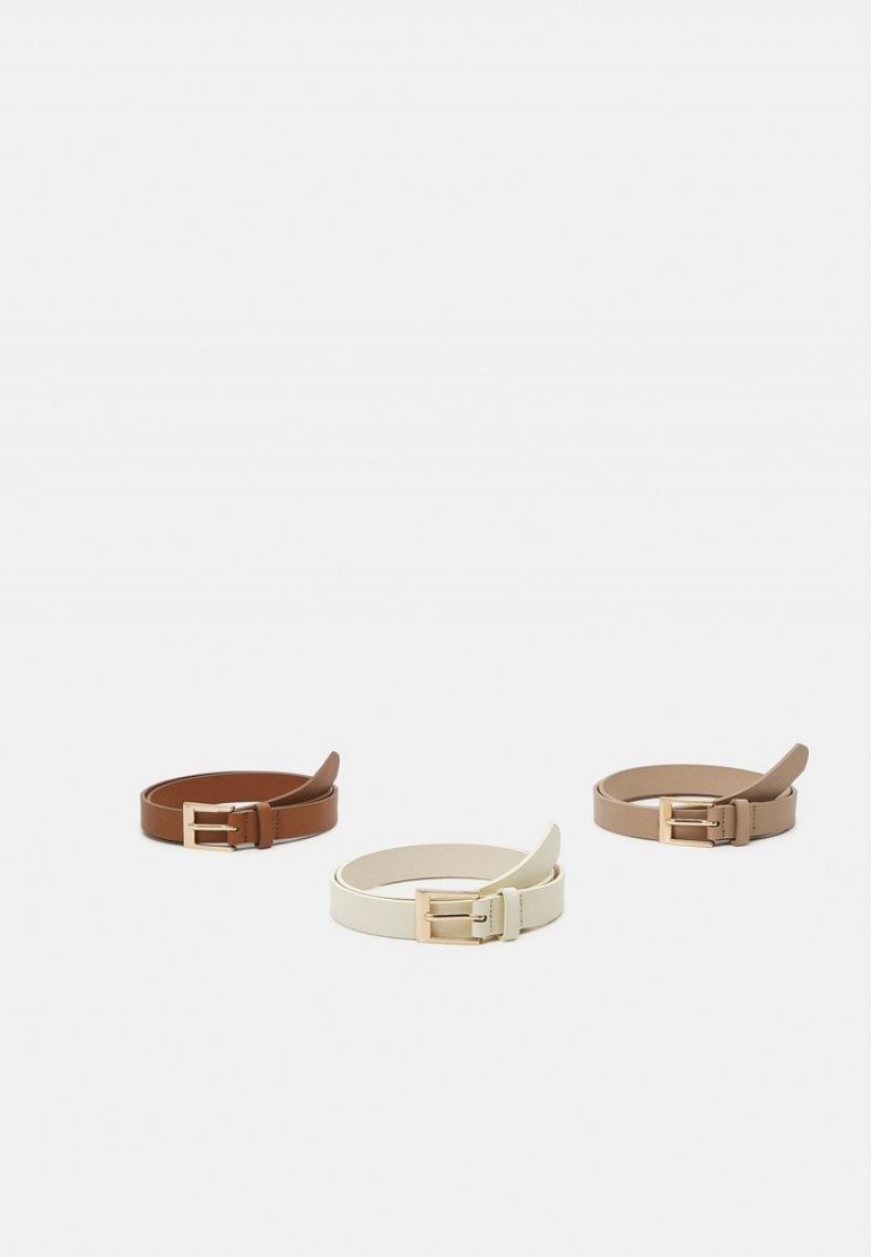 Anna Field Buy 3 Pack Riem Dames Bruin | NL-2140573-IF