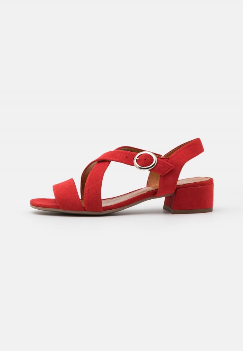 Anna Field Cheap Leather Sandalen Dames Rood | NL-5946782-GY