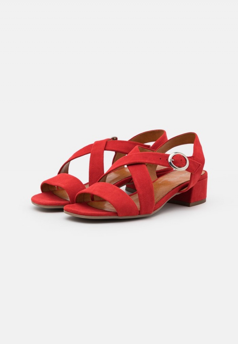 Anna Field Cheap Leather Sandalen Dames Rood | NL-5946782-GY