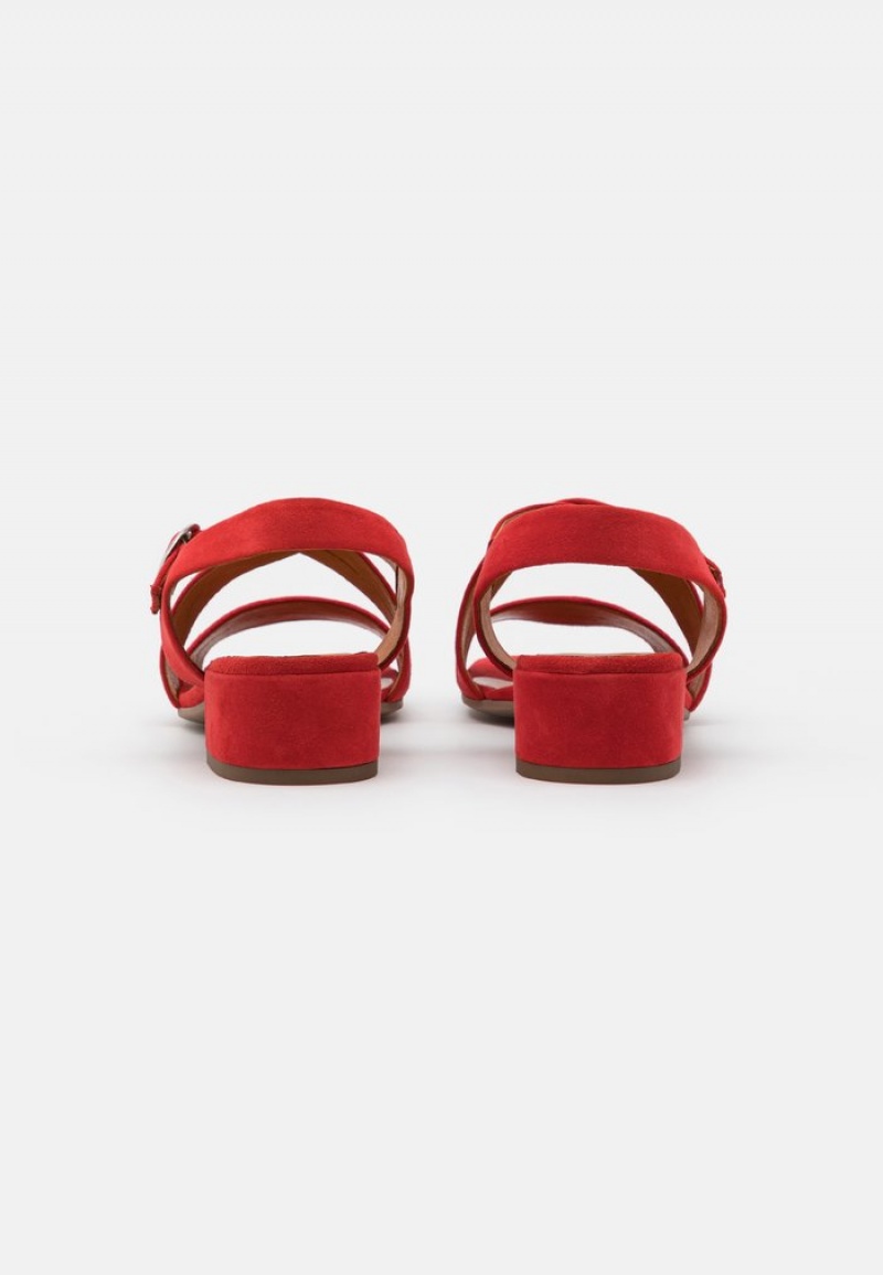 Anna Field Cheap Leather Sandalen Dames Rood | NL-5946782-GY