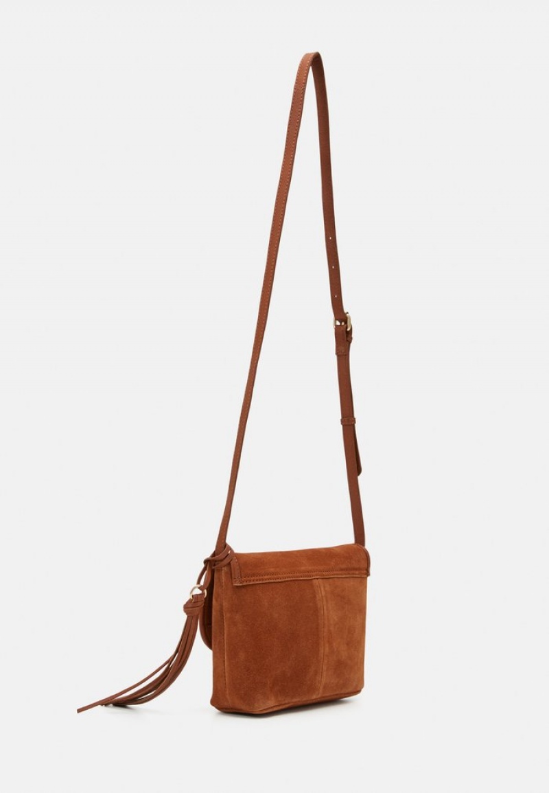 Anna Field Cheapest Leather Crossbodytassen Dames Bruin | NL-7016529-XP