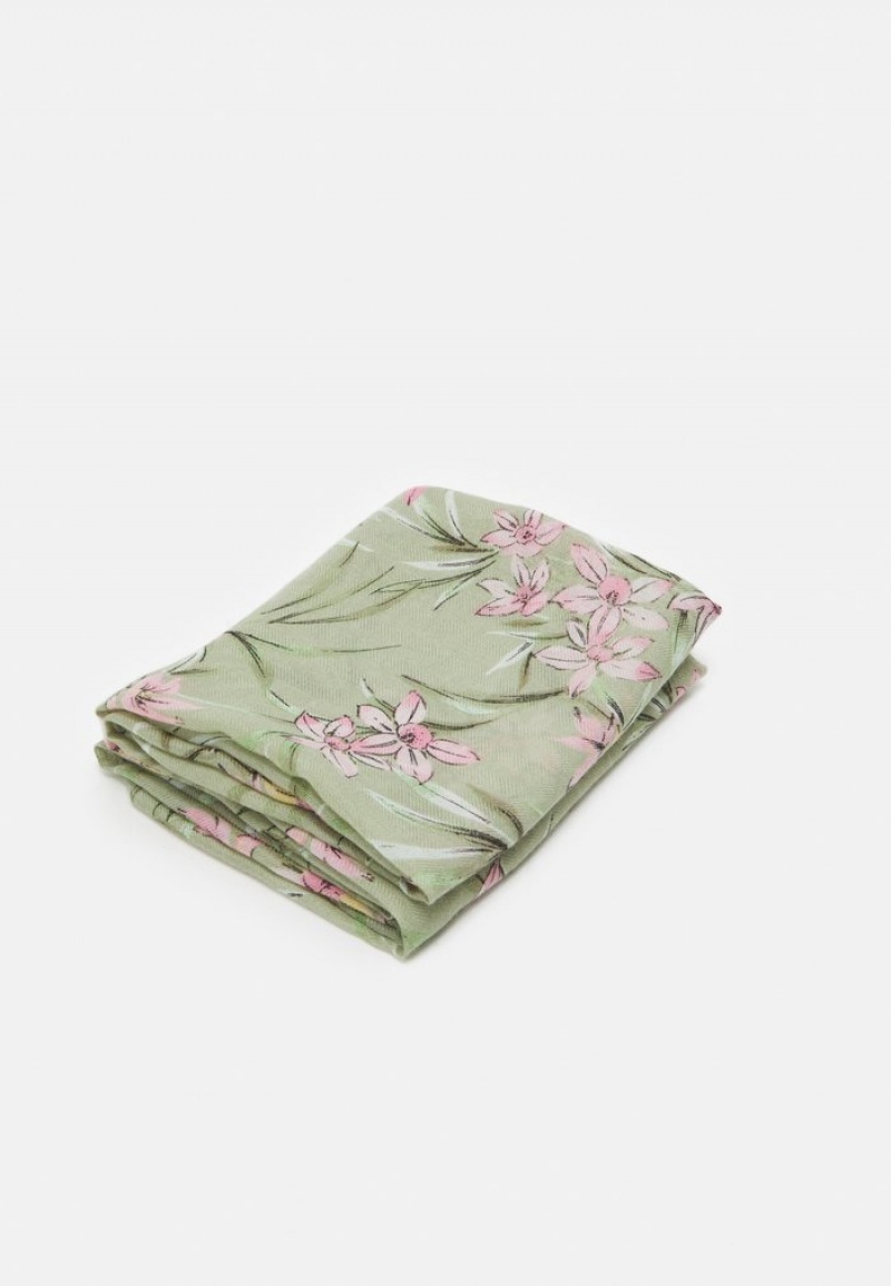 Anna Field Deals Foulards Dames Groen | NL-9062184-JT