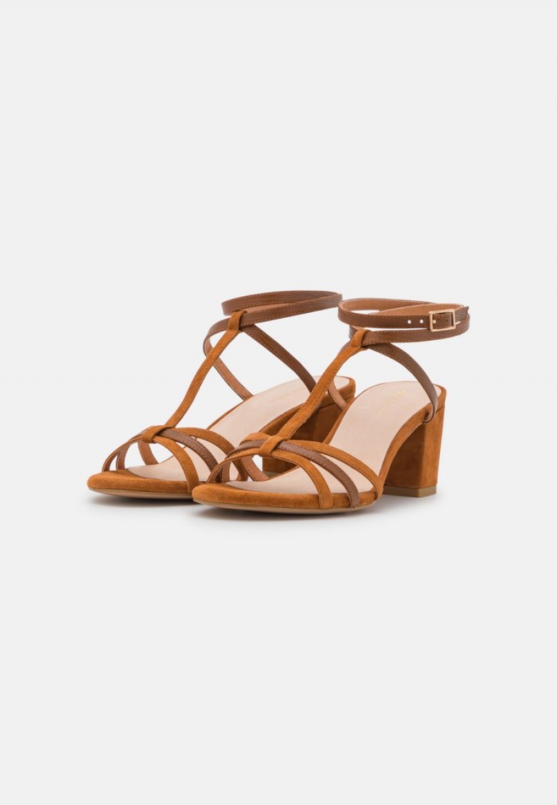 Anna Field Flash Sale Leather Sandalen Dames Bruin | NL-1089273-WK