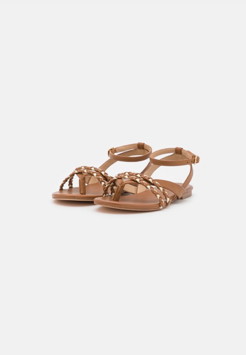 Anna Field New Leather T-Bar Sandalen Dames Bruin | NL-9458320-MT