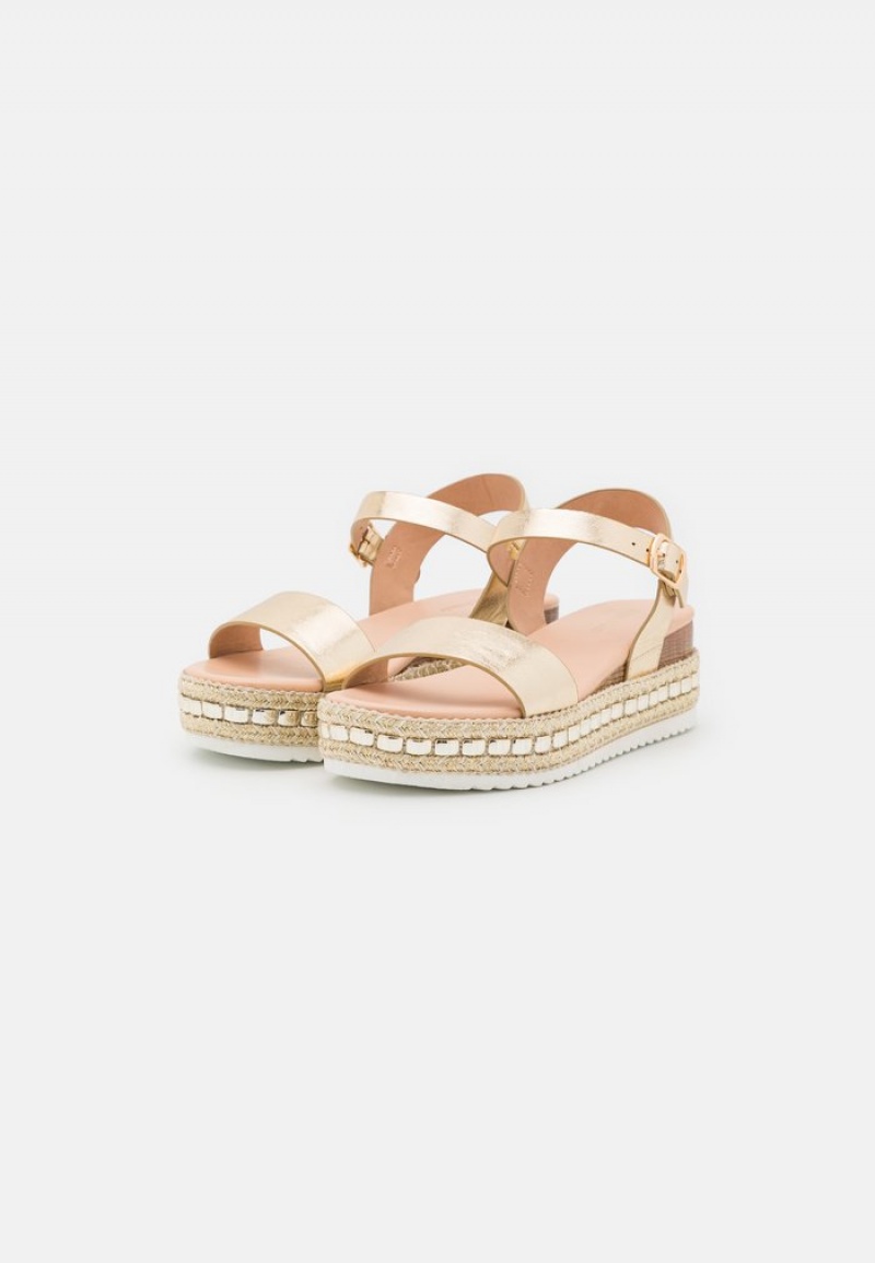 Anna Field Promo Platform Sandalen Dames Goud | NL-5410697-IX