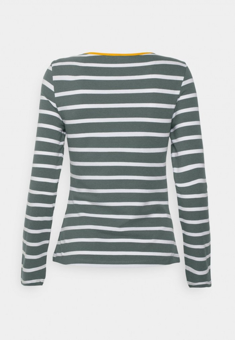 Anna Field Promo Stripey Contrast Lange Mouwen Dames Lichtgroen | NL-2714596-VD