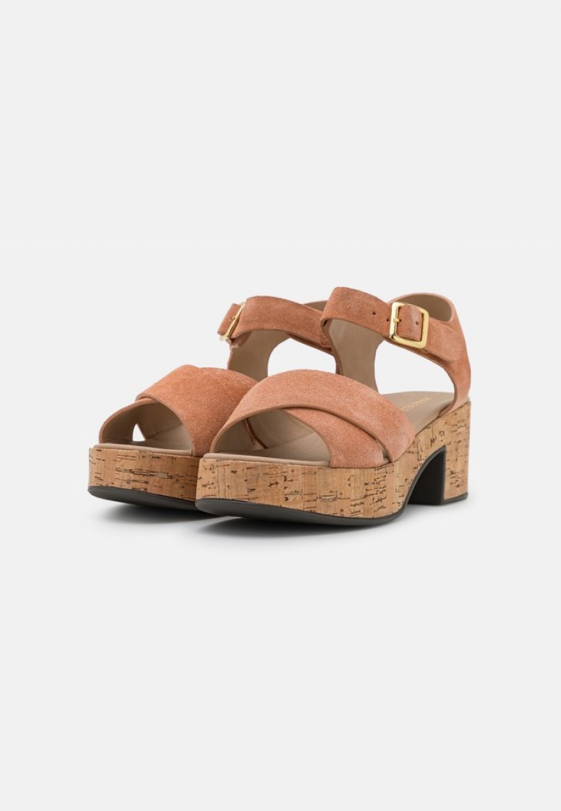 Anna Field Wholesale Leather Platform Sandalen Dames Bruin | NL-4978250-VK