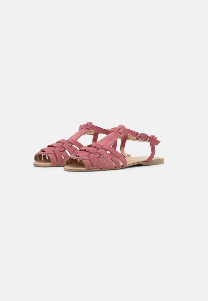 Anna Field Wholesale Leather Sandalen Dames Dieppaars | NL-6410592-VH